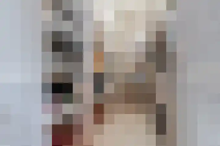 Straatsburglaan 20 Eindhoven thumbnail 25