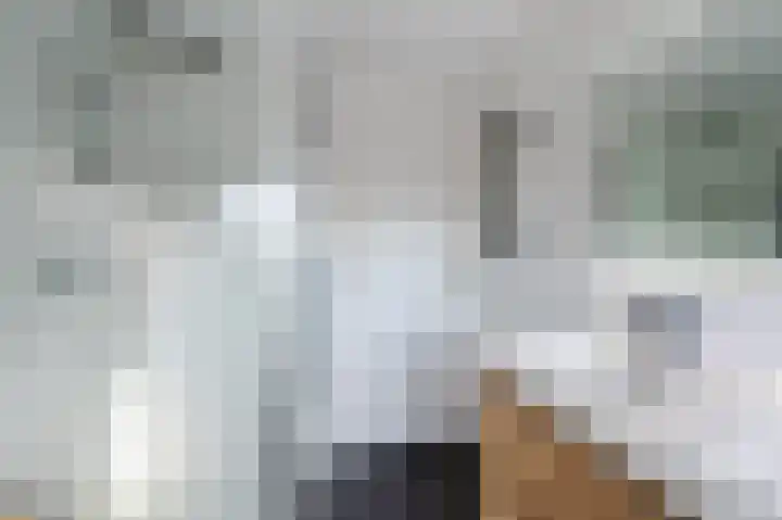 Straatsburglaan 20 Eindhoven thumbnail 30