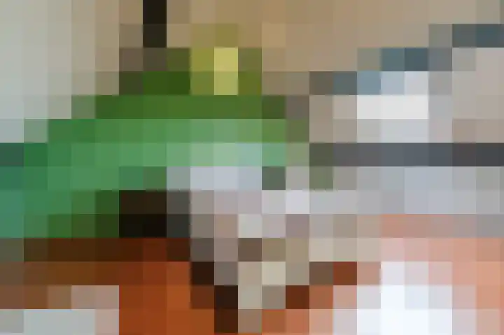 Straatsburglaan 20 Eindhoven thumbnail 33