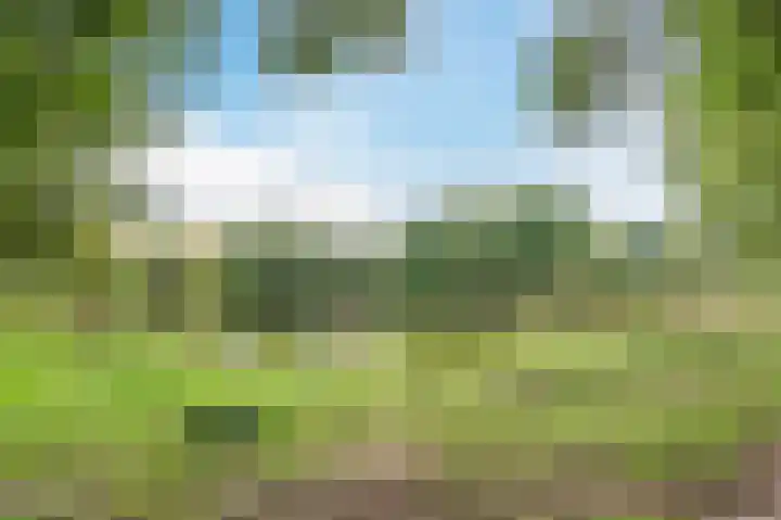 Straatsburglaan 20 Eindhoven thumbnail 51