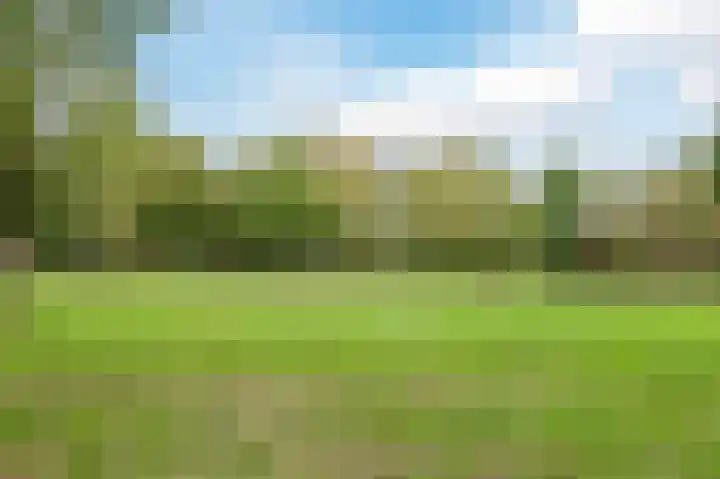 Straatsburglaan 20 Eindhoven thumbnail 52