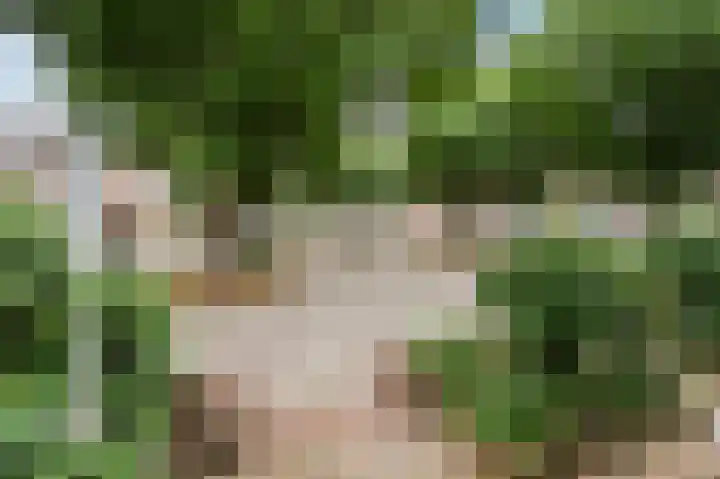 Straatsburglaan 20 Eindhoven thumbnail 9