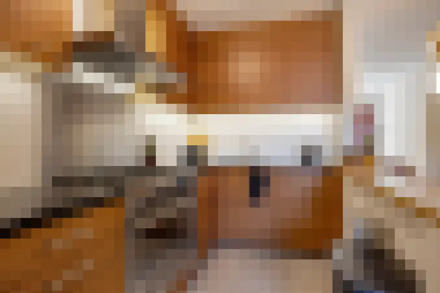 Straatsburglaan 21 Eindhoven thumbnail 16