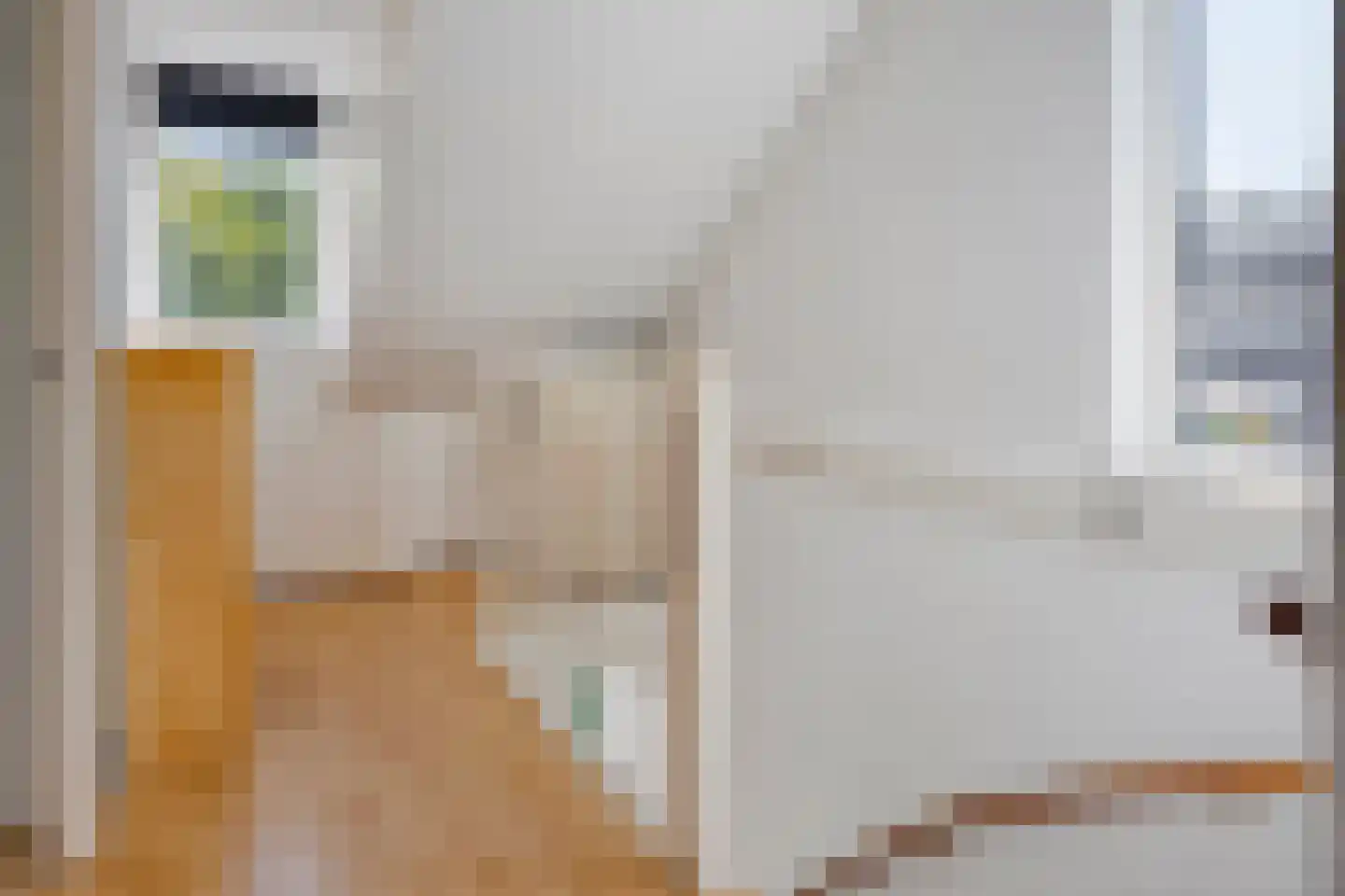 Straatsburglaan 21 Eindhoven thumbnail 24