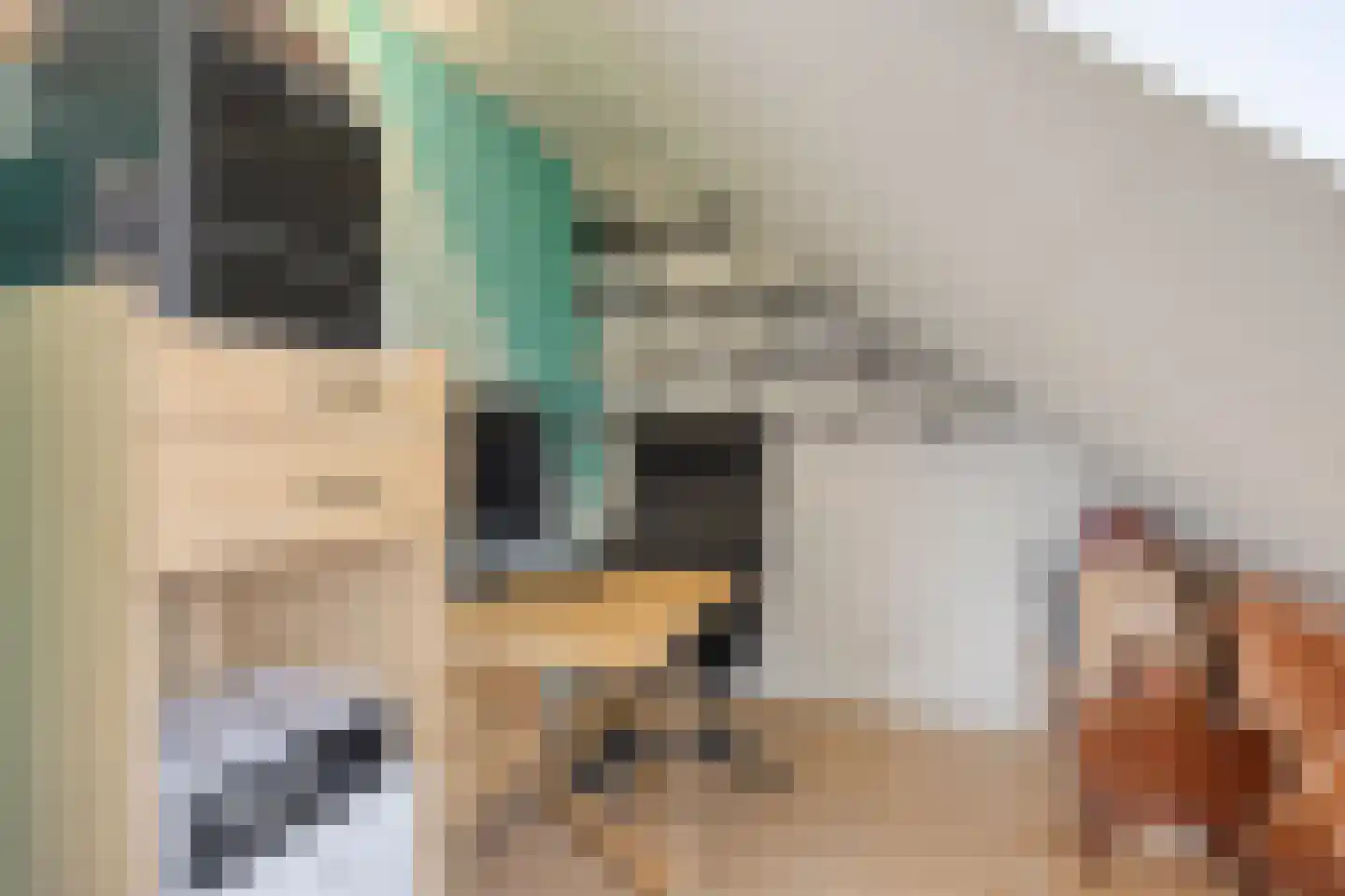 Straatsburglaan 21 Eindhoven thumbnail 25