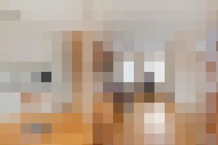 Straatsburglaan 26 Eindhoven thumbnail 5