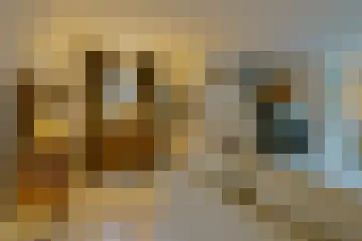 Straatsburglaan 30 Eindhoven thumbnail 14