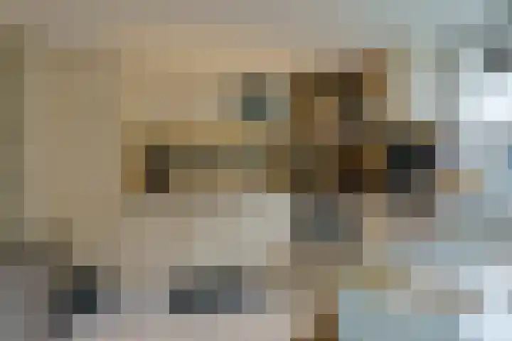 Straatsburglaan 30 Eindhoven thumbnail 17