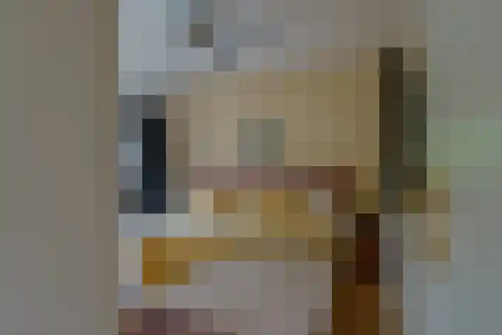 Straatsburglaan 30 Eindhoven thumbnail 20