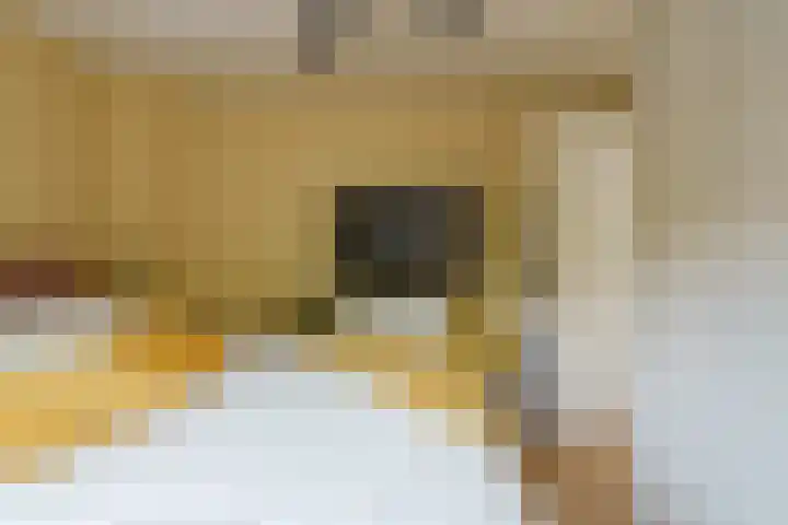 Straatsburglaan 30 Eindhoven thumbnail 23