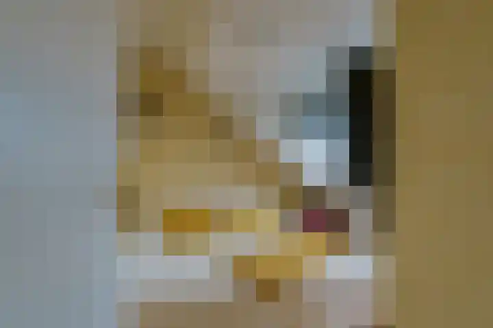 Straatsburglaan 30 Eindhoven thumbnail 24