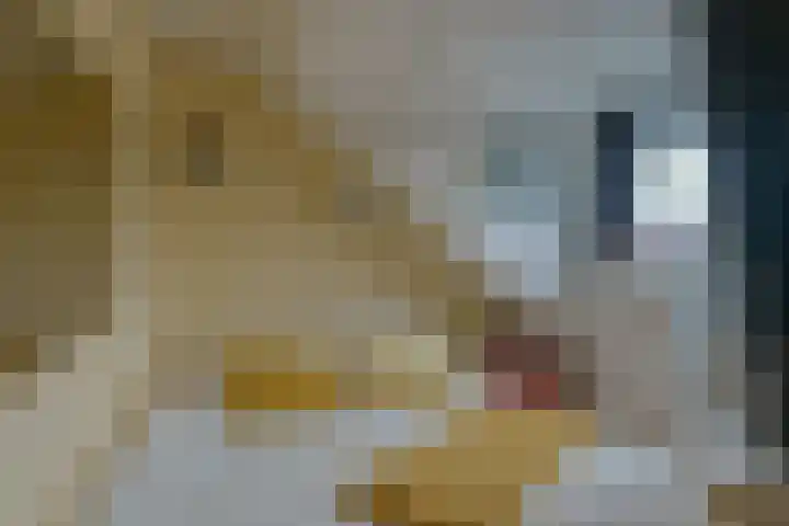 Straatsburglaan 30 Eindhoven thumbnail 25