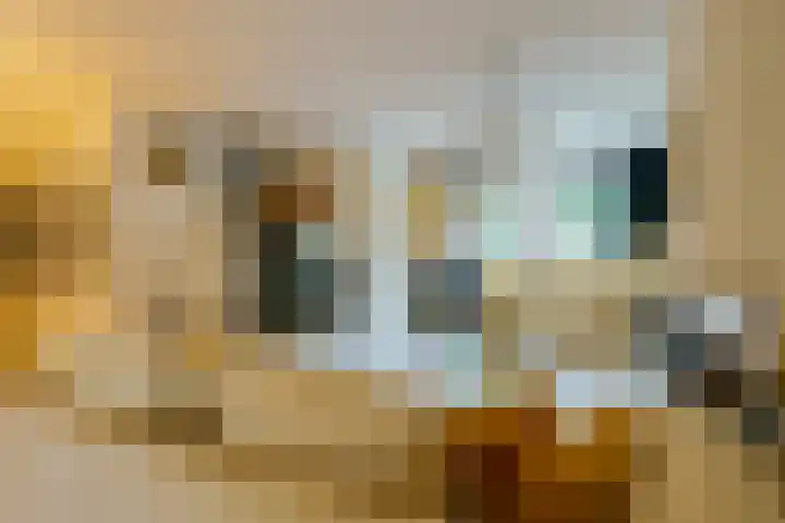 Straatsburglaan 30 Eindhoven thumbnail 4