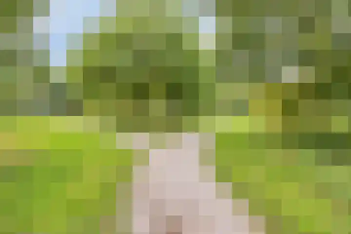 Straatsburglaan 37 Enschede thumbnail 31