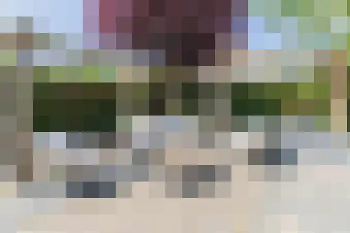 Straatsburglaan 55 Sittard thumbnail 14