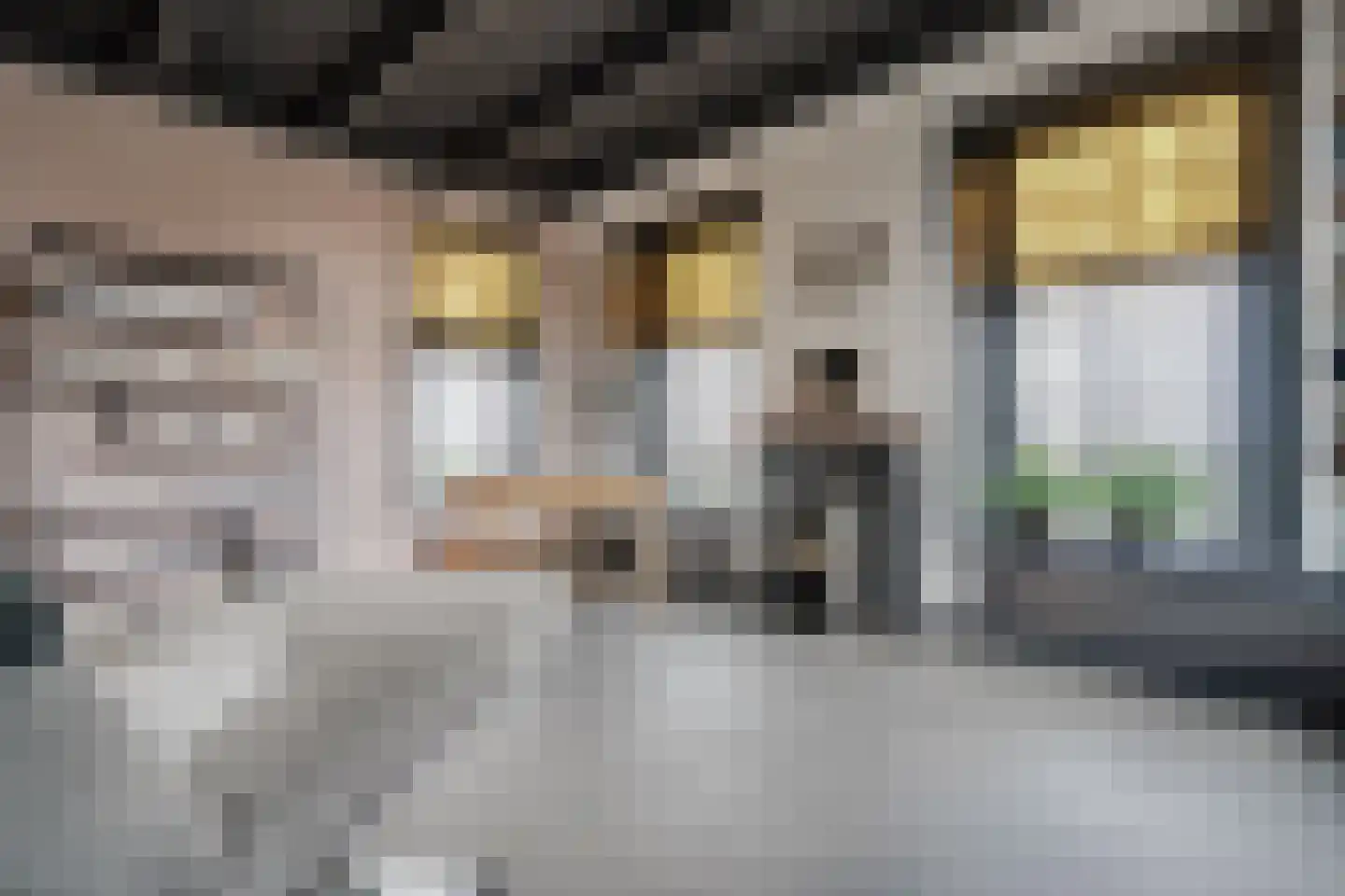 Straatweg 1 Follega thumbnail 12