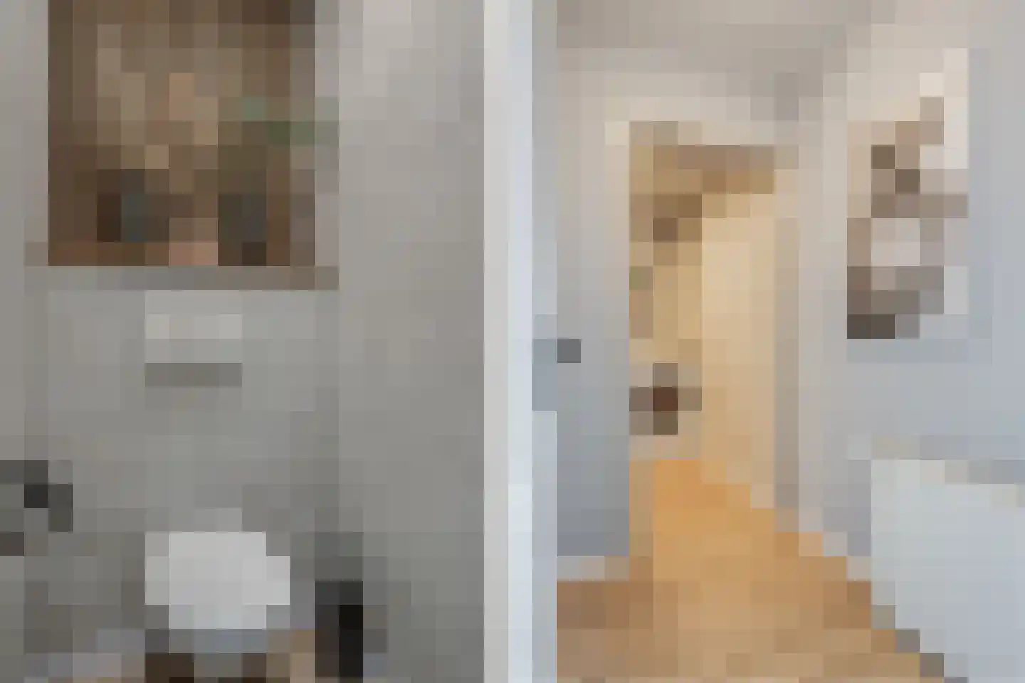 Straatweg 1 Follega thumbnail 17