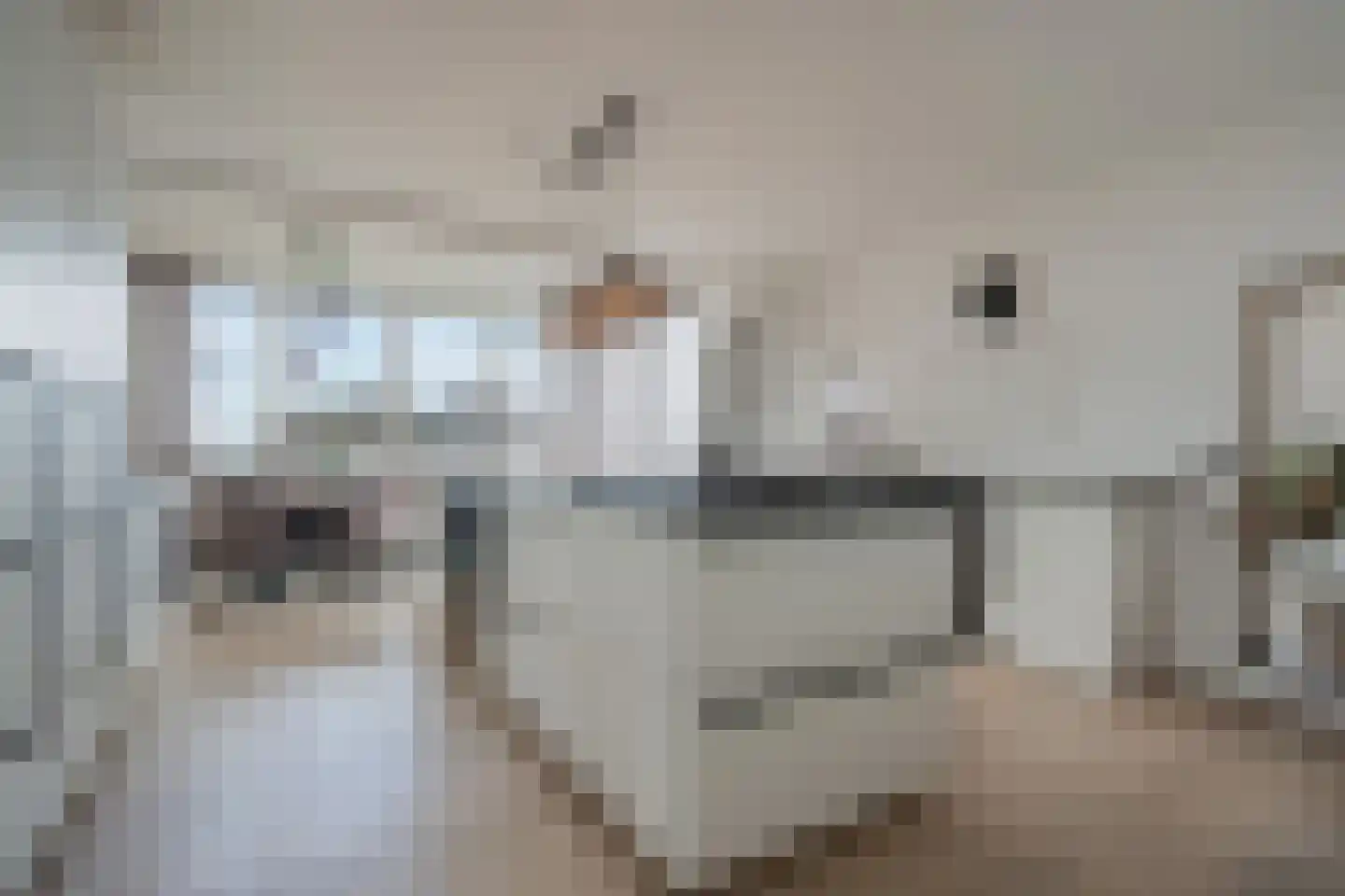 Straatweg 1 Follega thumbnail 19