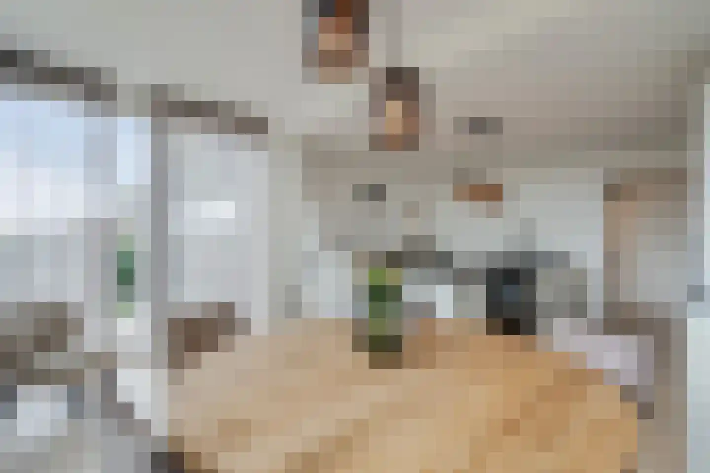 Straatweg 1 Follega thumbnail 22
