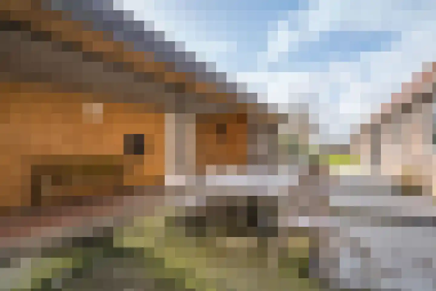 Straatweg 1 Follega thumbnail 34