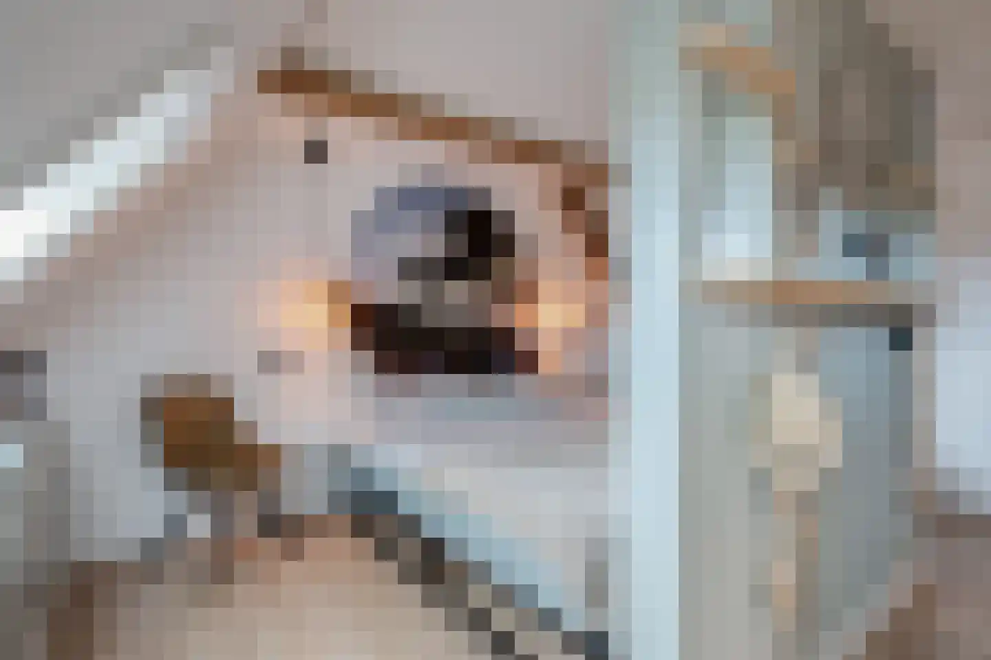 Straatweg 1 Follega thumbnail 47