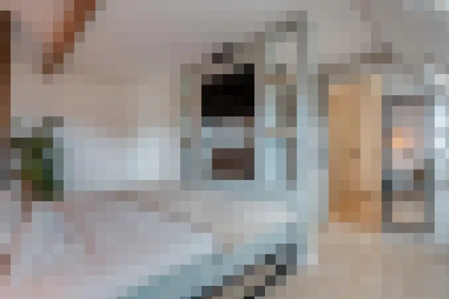 Straatweg 1 Follega thumbnail 49
