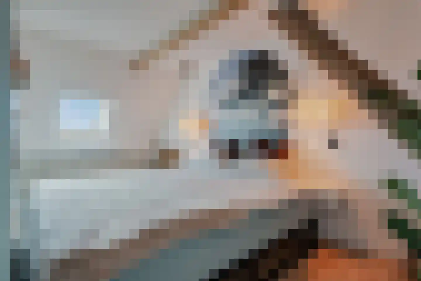 Straatweg 1 Follega thumbnail 50