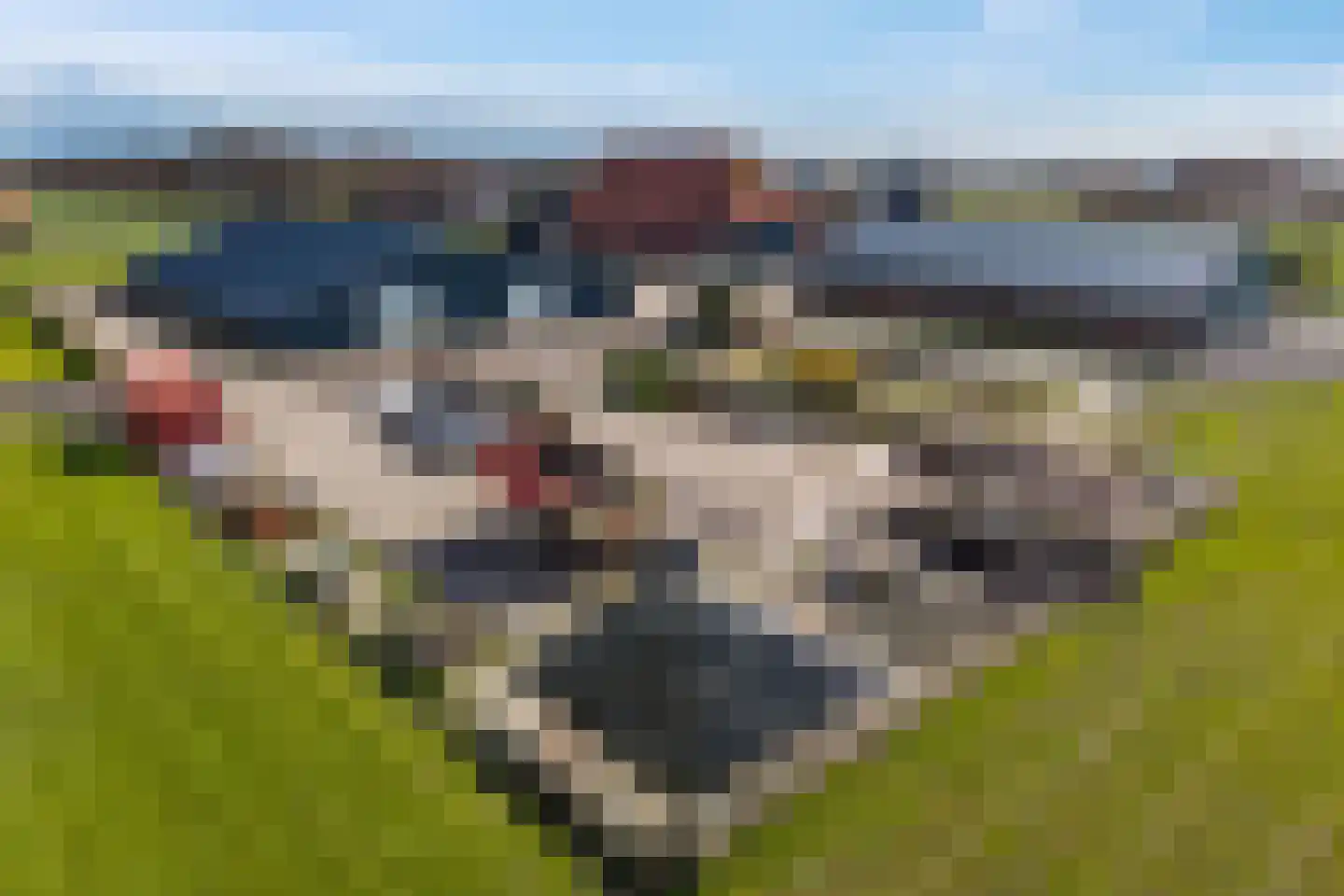 Straatweg 1 Follega thumbnail 87