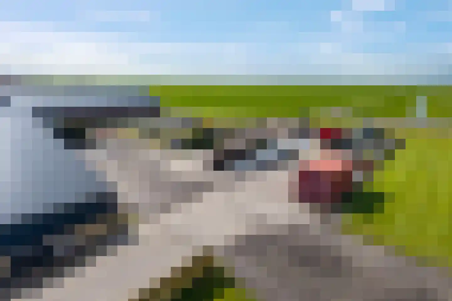 Straatweg 1 Follega thumbnail 89
