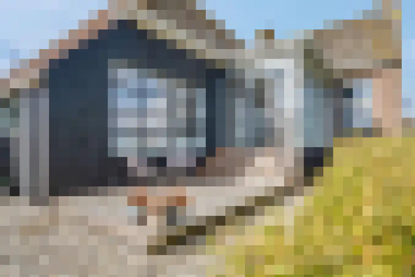 Straatweg 1 Follega thumbnail 9