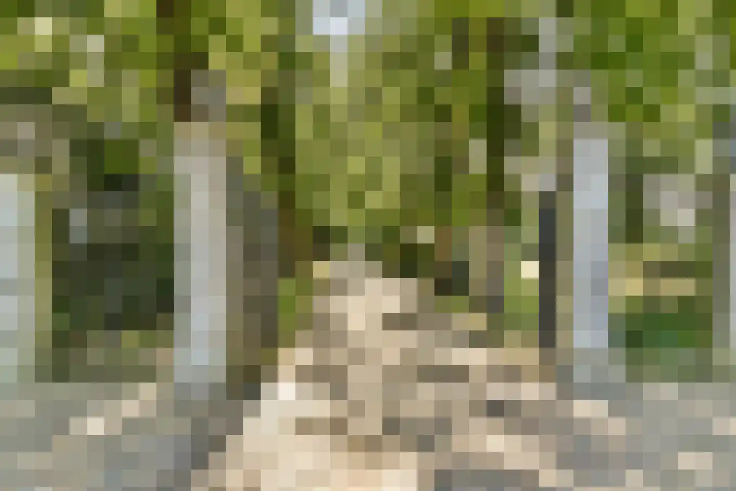 Straatweg 17 Maarssen thumbnail 5