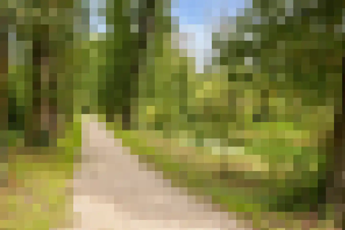 Straatweg 189 Breukelen thumbnail 34