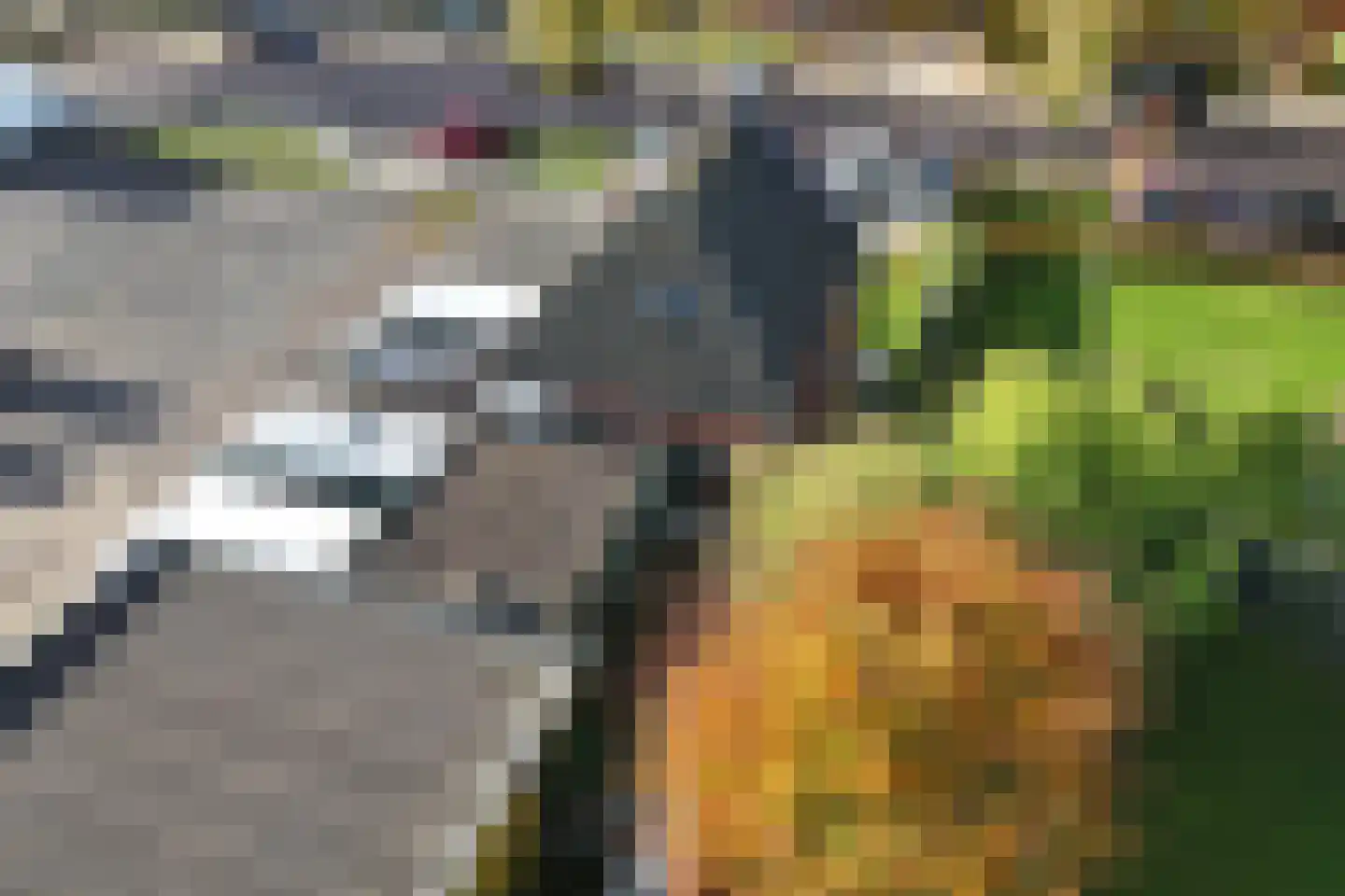 Straatweg 20 Lemmer thumbnail 30