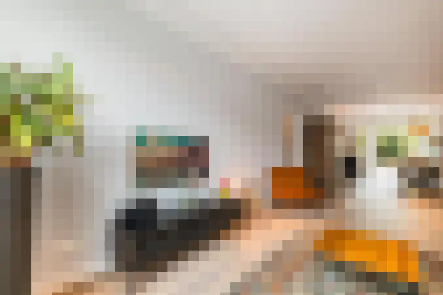 Straatweg 20 Rotterdam thumbnail 8