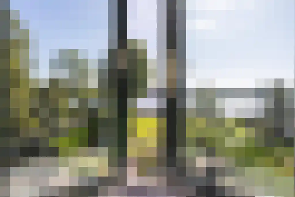 Straatweg 204 Rotterdam thumbnail 37