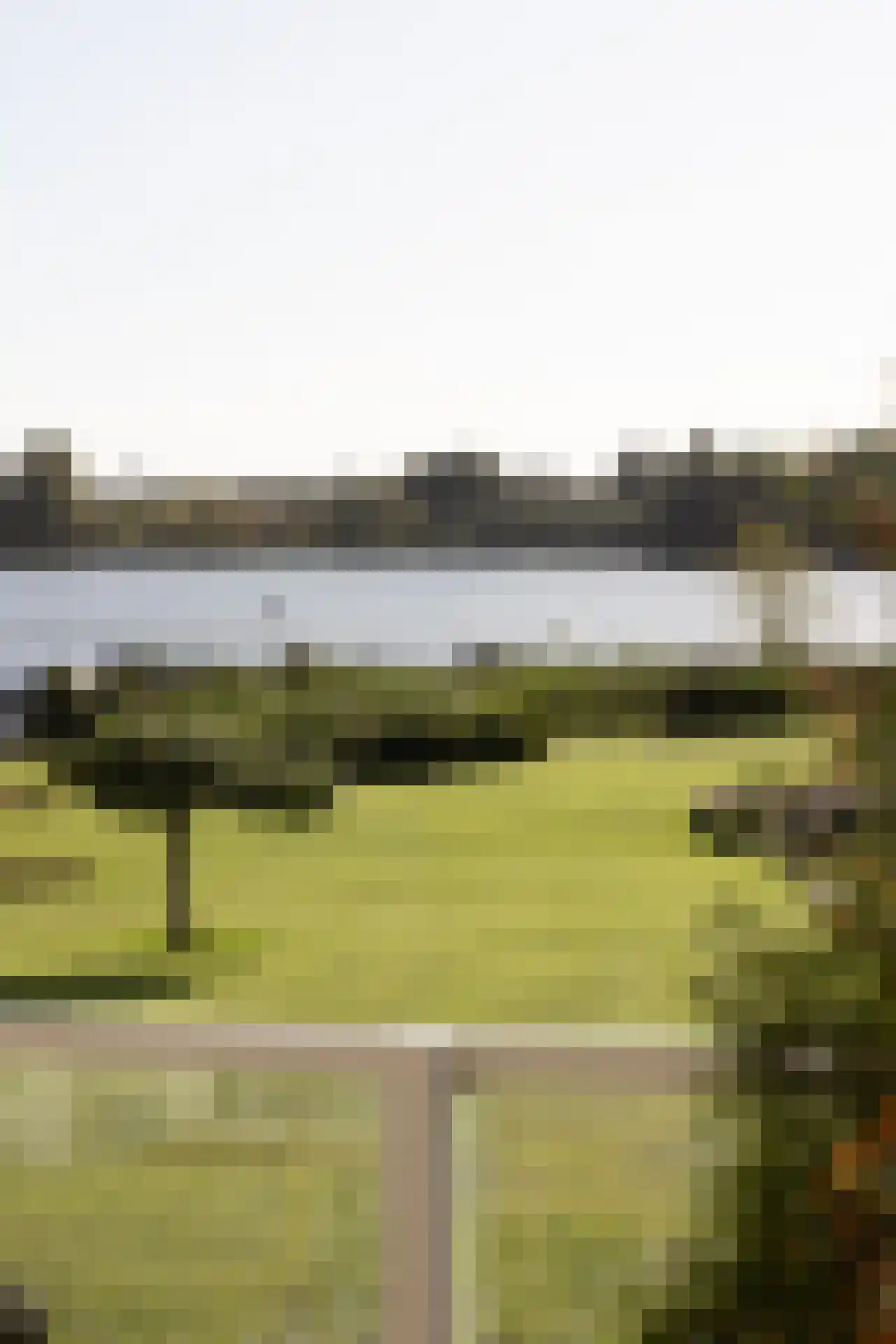 Straatweg 220 A Rotterdam thumbnail 32