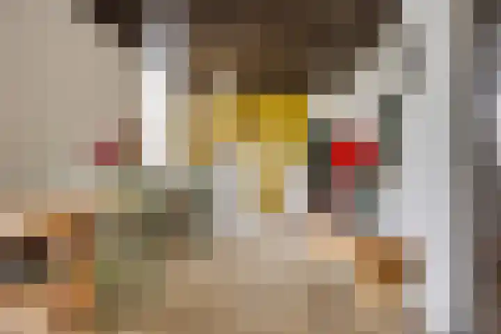 Straatweg 31 Maarssen thumbnail 10