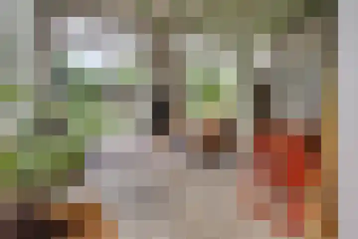 Straatweg 31 Maarssen thumbnail 16