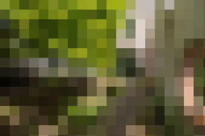 Straatweg 31 Maarssen thumbnail 36
