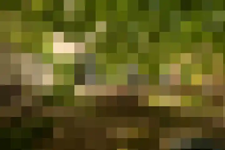 Straatweg 31 Maarssen thumbnail 37
