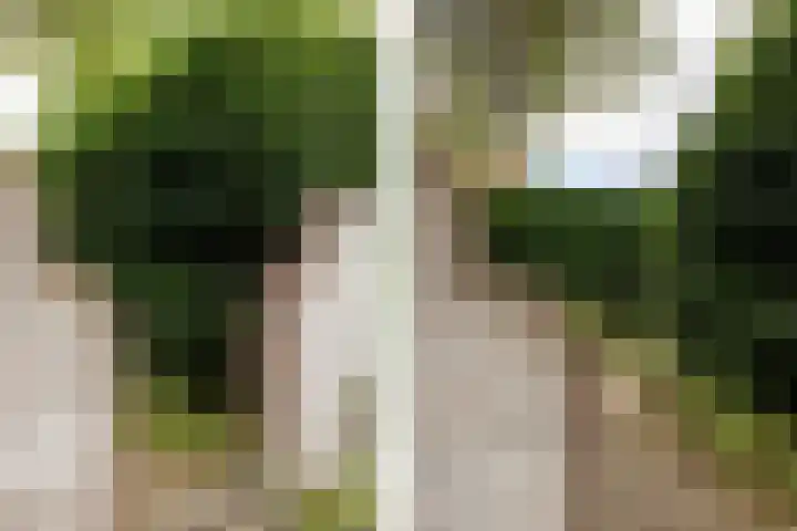 Straatweg 31 Maarssen thumbnail 38