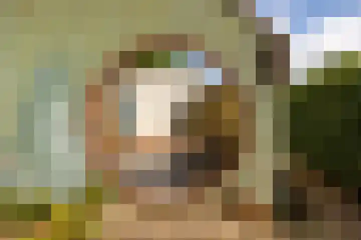 Straatweg 31 Maarssen thumbnail 42