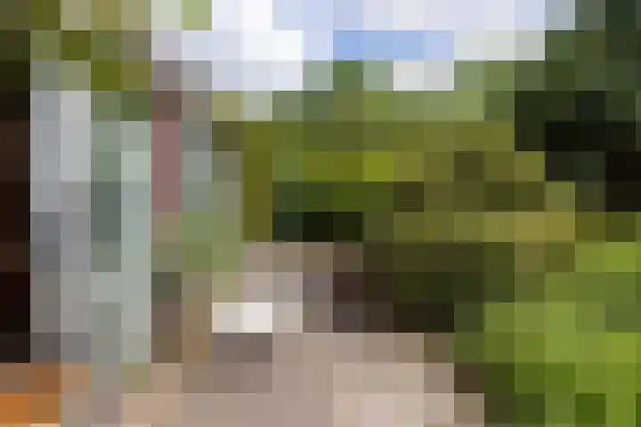 Straatweg 31 Maarssen thumbnail 44