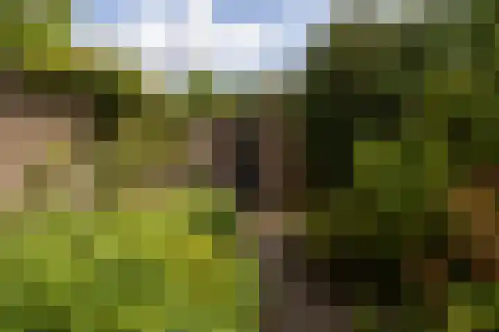 Straatweg 31 Maarssen thumbnail 46
