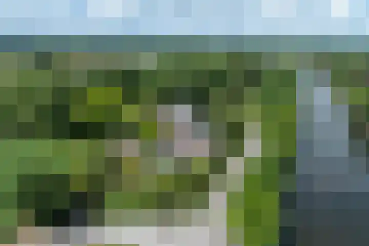 Straatweg 31 Maarssen thumbnail 47