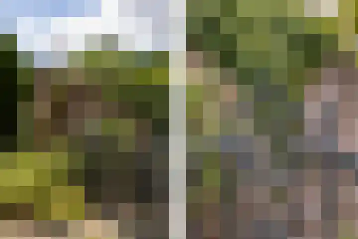 Straatweg 31 Maarssen thumbnail 5