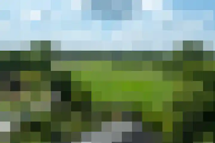 Straatweg 31 Maarssen thumbnail 53
