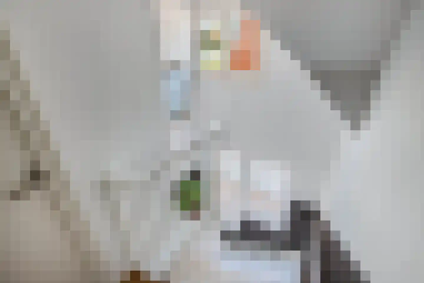 Straatweg 34 Lemmer thumbnail 55