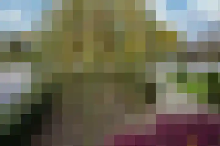 Strabeek 1 Valkenburg thumbnail 47