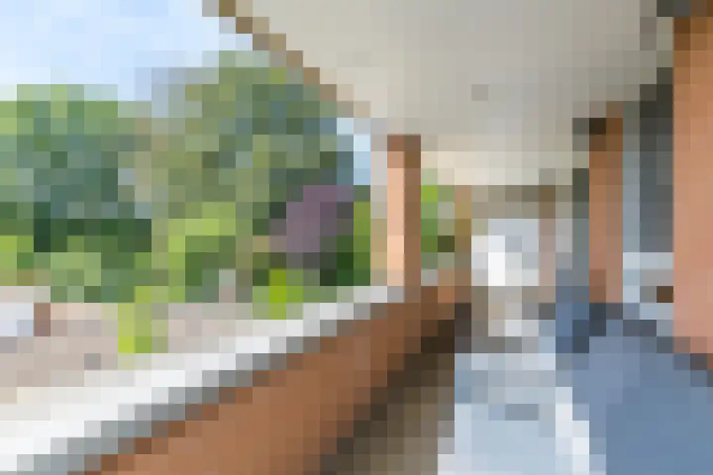 Strabeek 11 D Valkenburg thumbnail 19